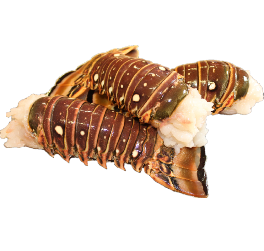 4 oz Lobster Tail *