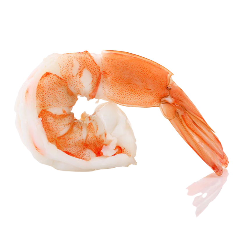 Argentine Butterfly Shrimp 13/15 *