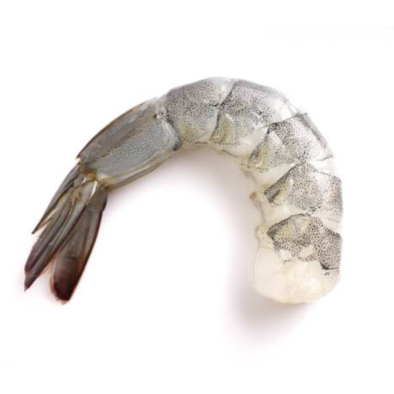 Tiger Shrimp *
