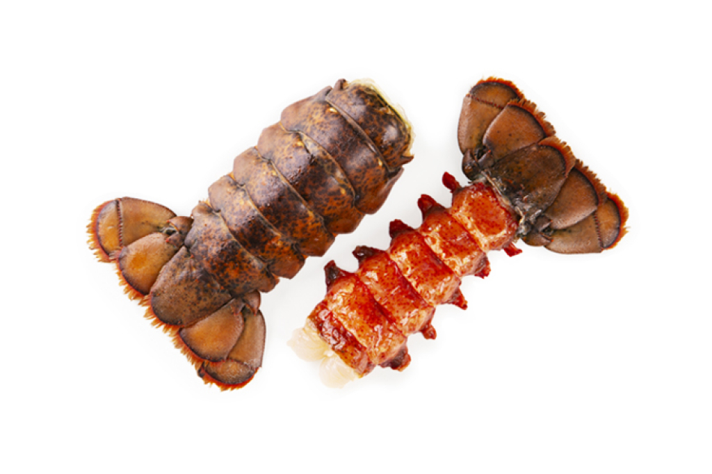Lobster Tail *