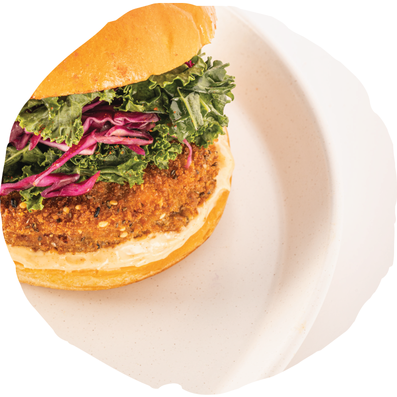 Chickpea Crushed Patty with Caramelised Onions- Chickumi  *