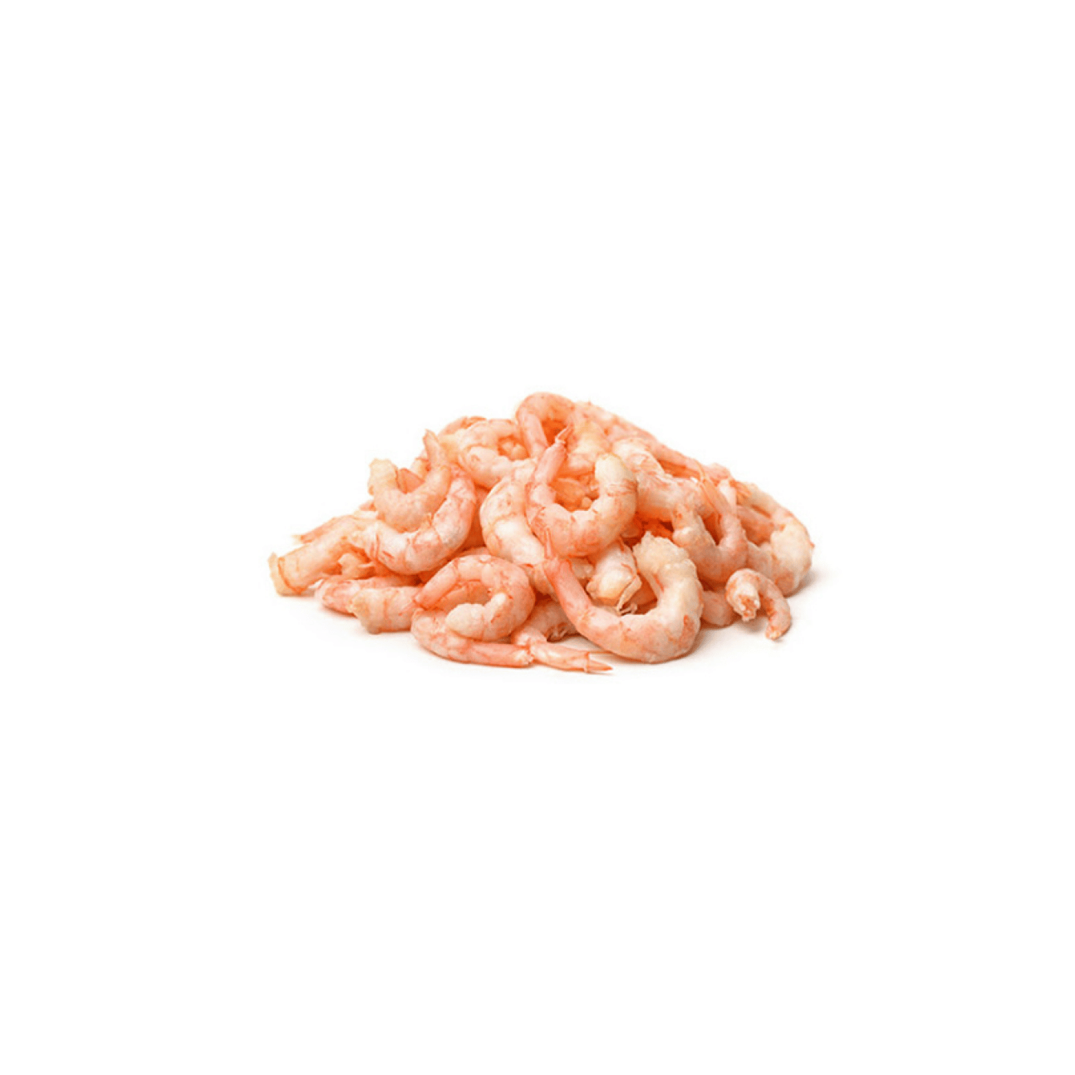 Northern Shrimp *