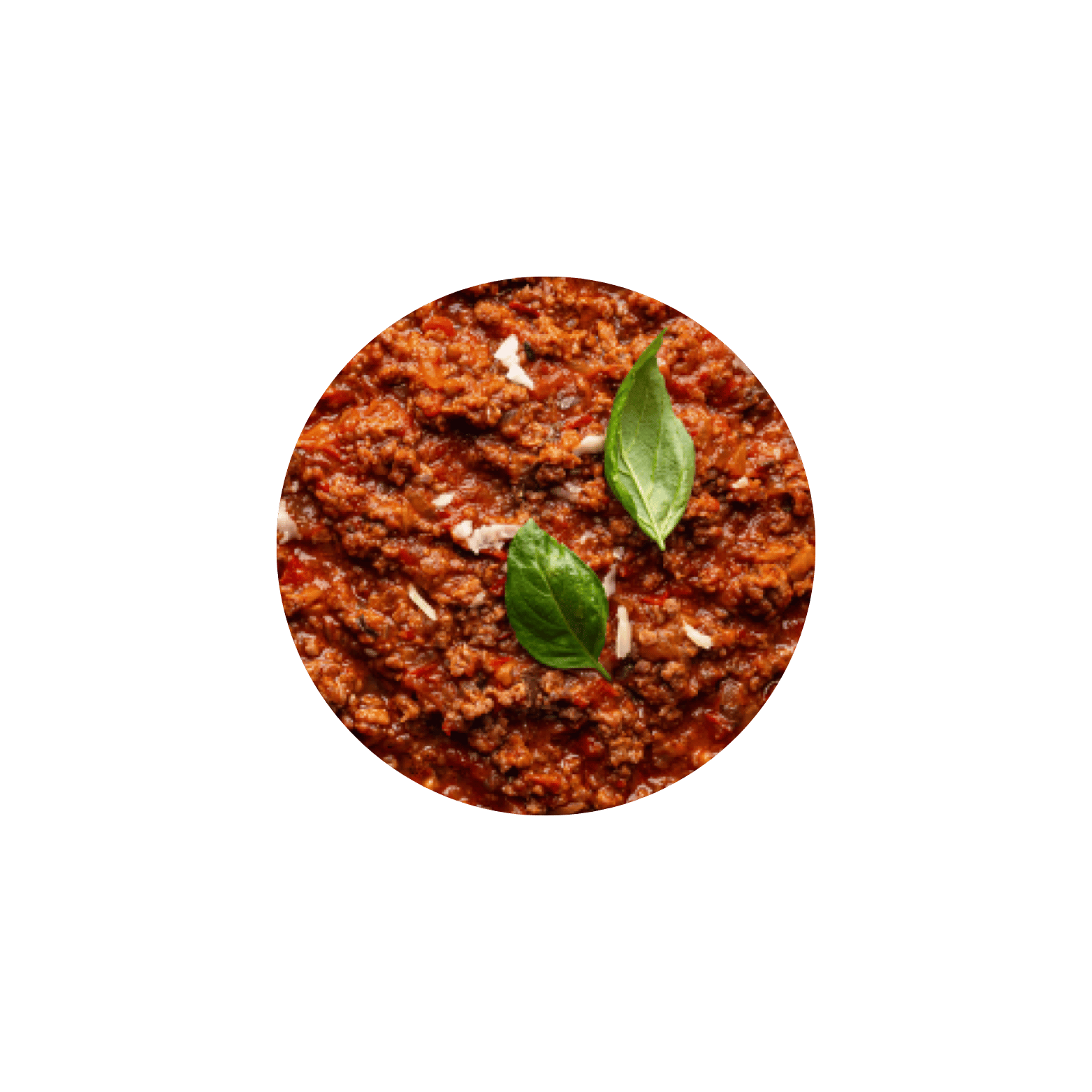 Spaghetti Sauce *